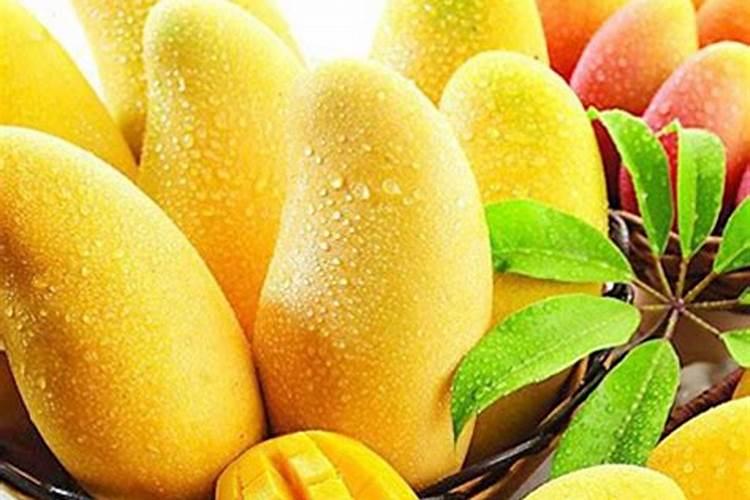 芒果熟了为何会开裂