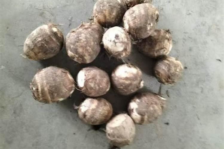 芋头膨大期施什么肥