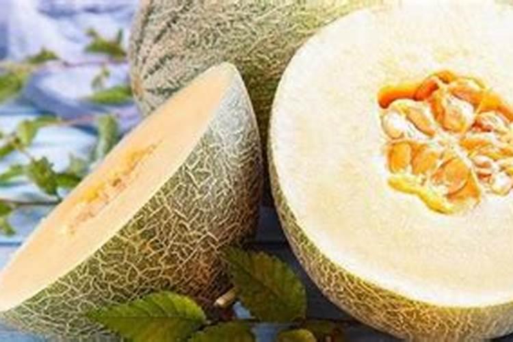 哈密瓜皮做花肥要多久