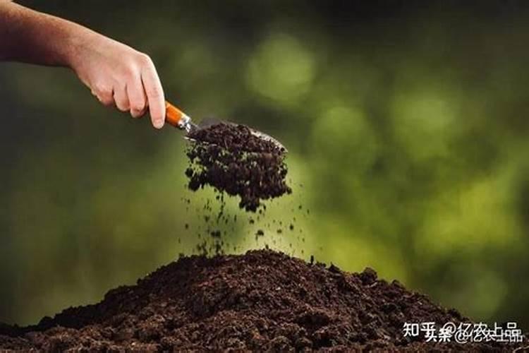 土壤酸碱度对植物的影响如何