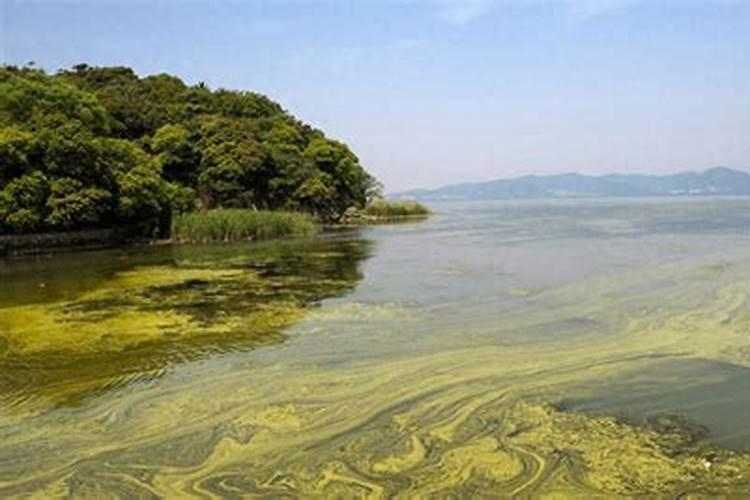 一亩地用多少硼肥