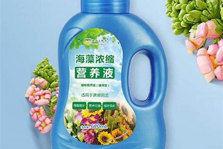 追肥来改善果实的品质,有哪些有机肥料最合适？