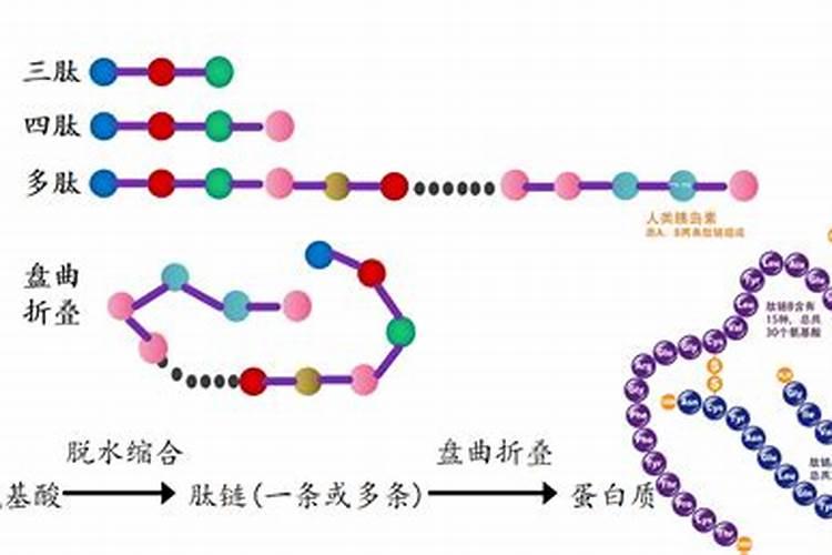 草莓膨大用什么肥料？草莓增甜膨果什么时候用肥比较好？