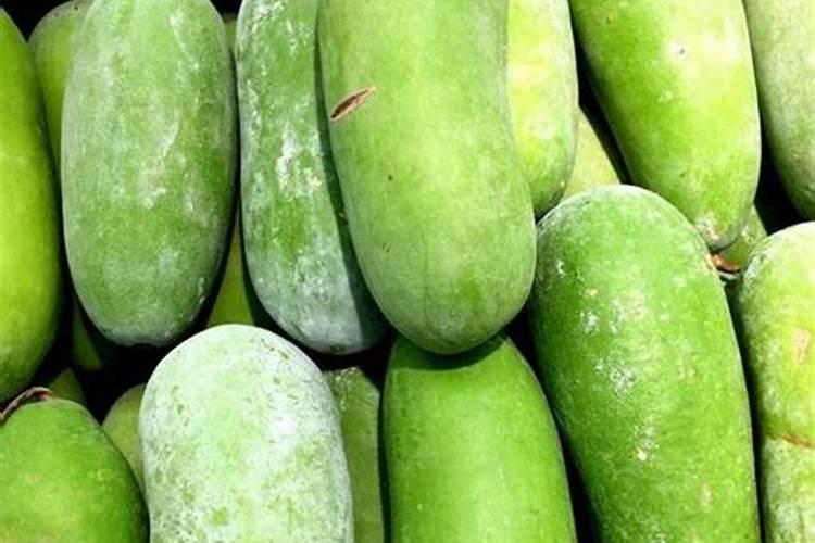 种冬瓜施什么肥好