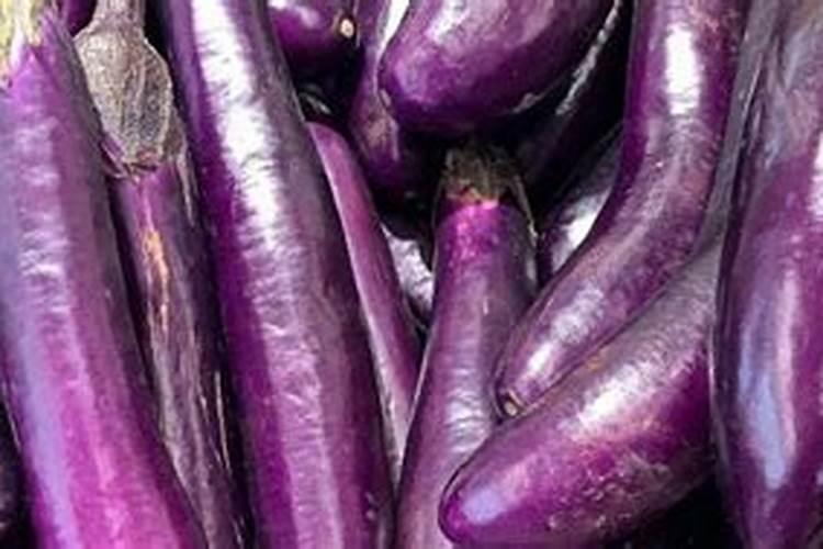 茄子什么时候施肥最好