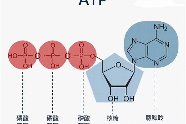 镁肥种类有哪些？