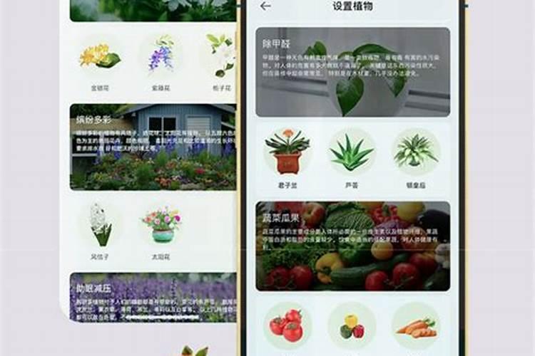 过期小米还能干什么