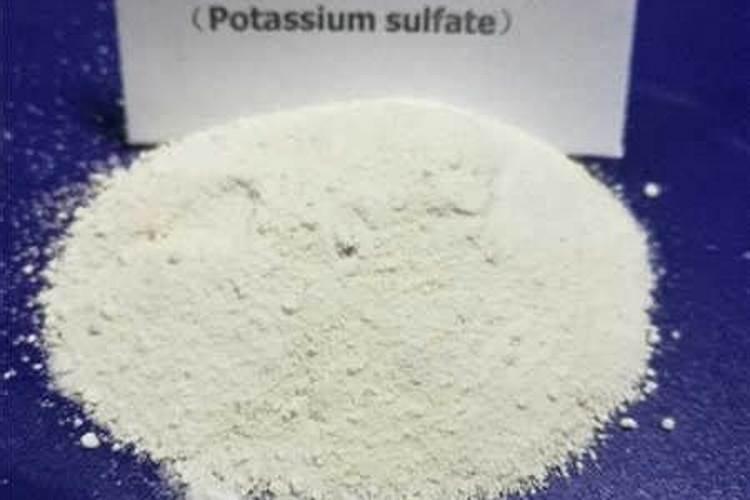 魔芋出苗后施什么肥