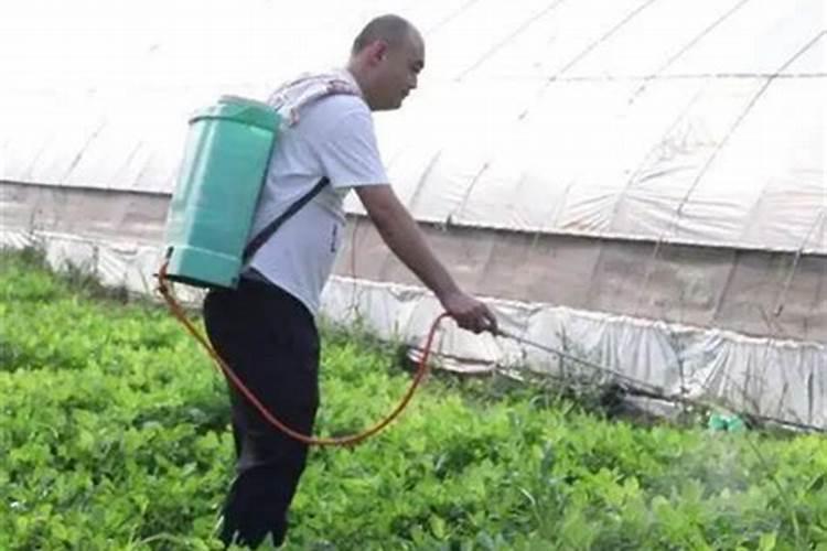 豆角开花的时候可以施肥吗