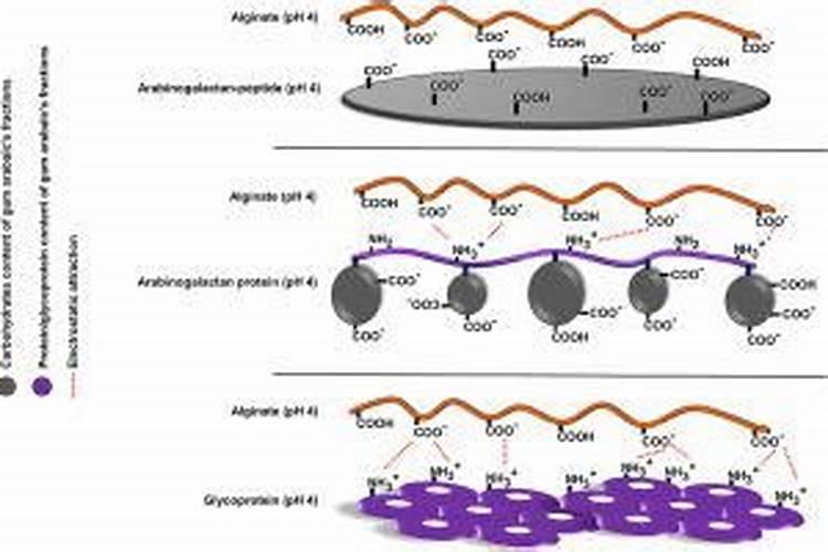 小麦喜欢什么肥料