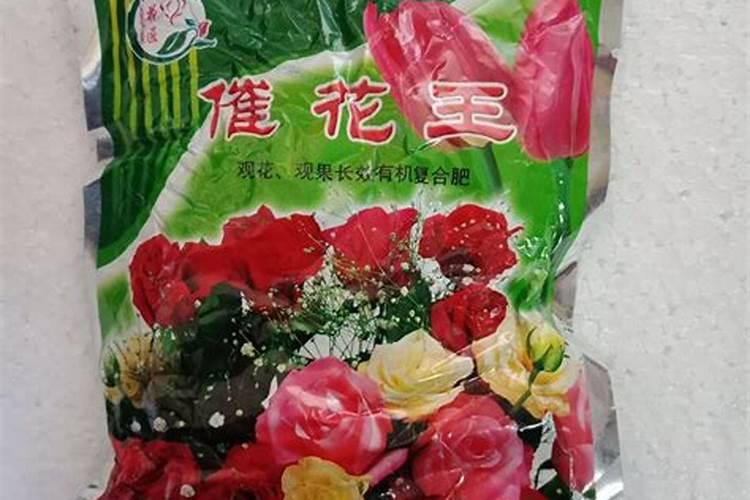 催花用什么肥料好