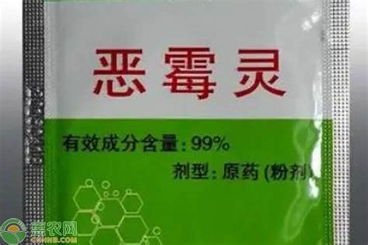 硼肥是什么肥料