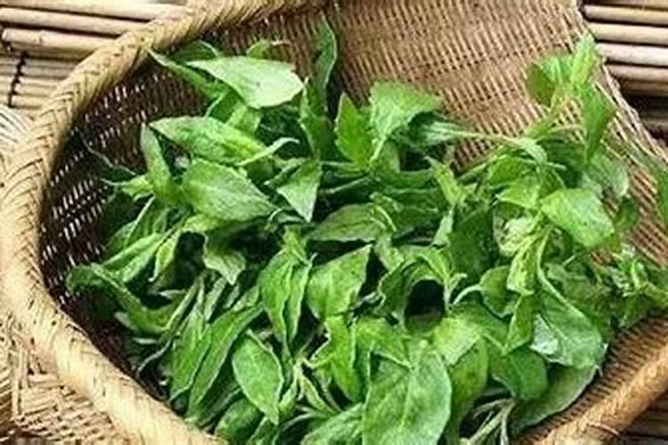 请大家给我介绍一下海南？