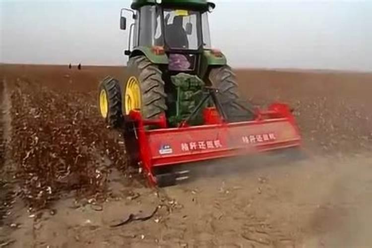 改良土壤板结最简易方法