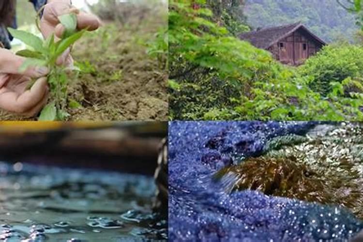 黄腐酸的作用是什么.黄腐酸的功能是什么