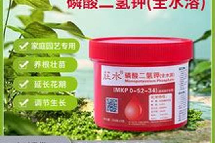 红薯的种植时间和方法