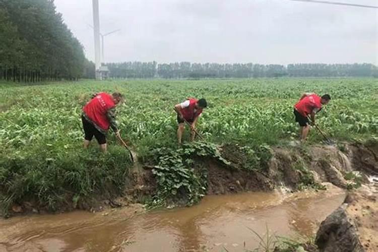 水田淹水期的情况下,不适合施用的是哪种氮肥