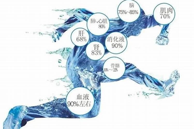 蔬菜用的酵素肥能过冬吗？