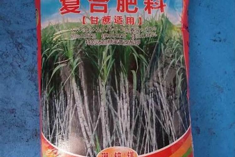 甘蔗叶面肥什么时候用最好
