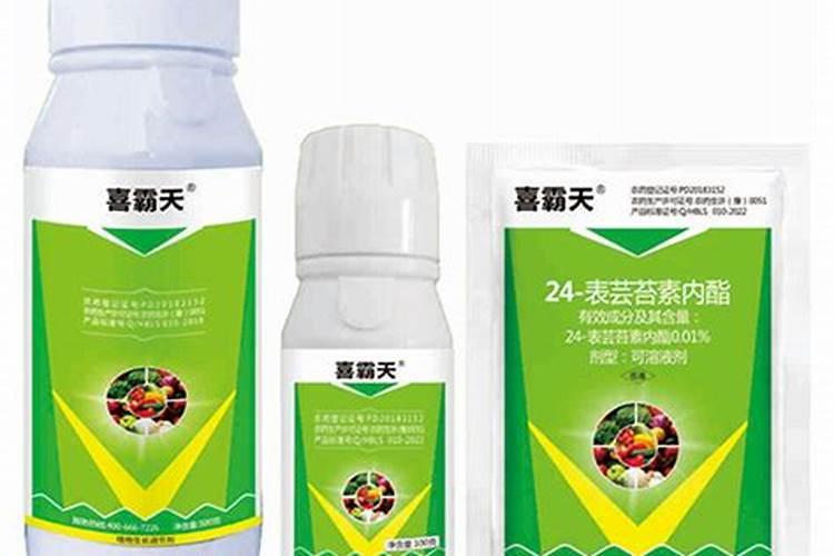 求郑州芸苔素内酯原药厂家,权威的