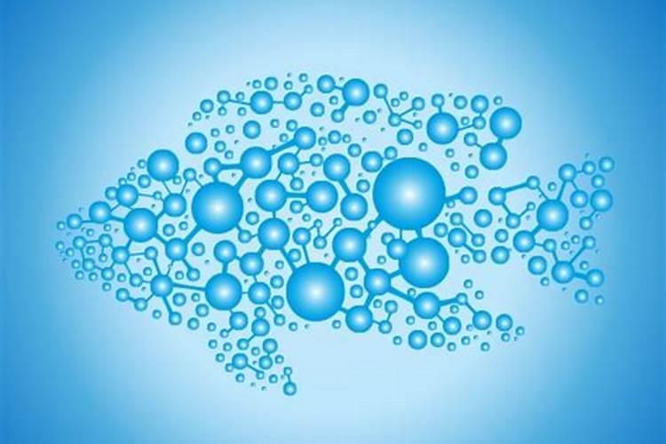 鱼蛋白水解制品具有哪些功能特性