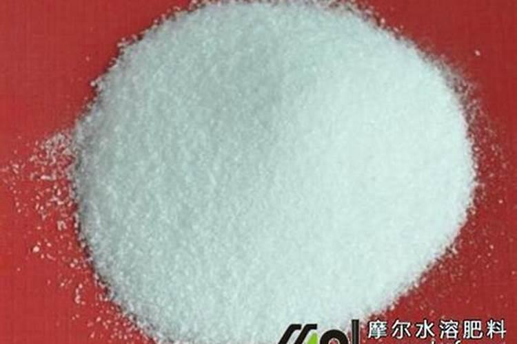 怎样提升板蓝根种植技术以及提高其亩产量？