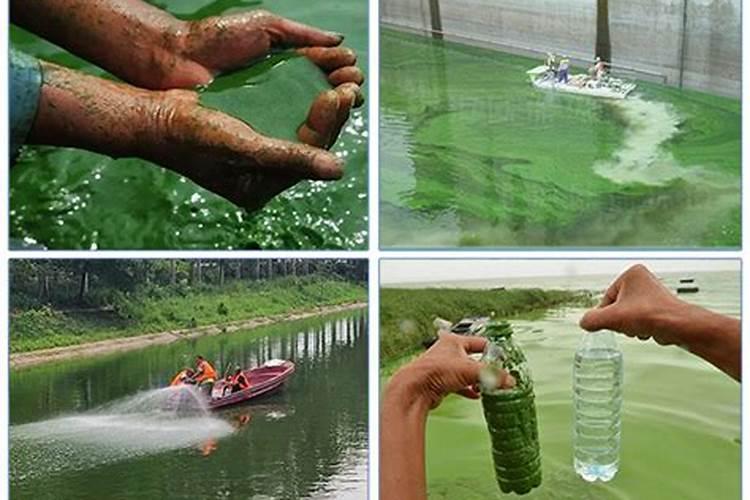 中粮集团旗下品牌有哪些