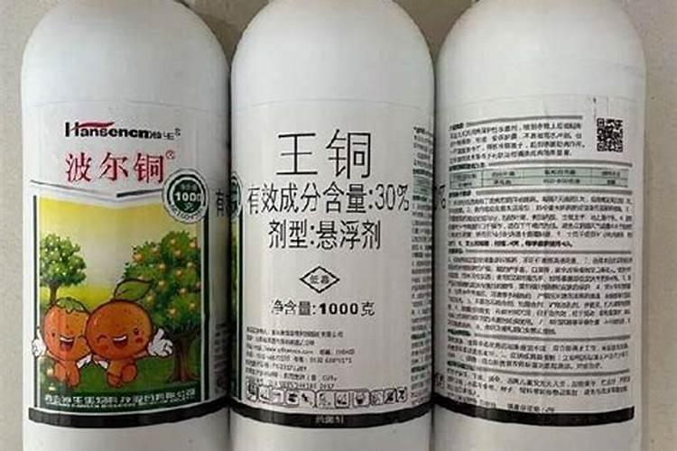 葡萄什么时候喷施叶面肥