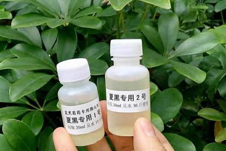 葡萄用硝酸钾和高氮膨果怎么样