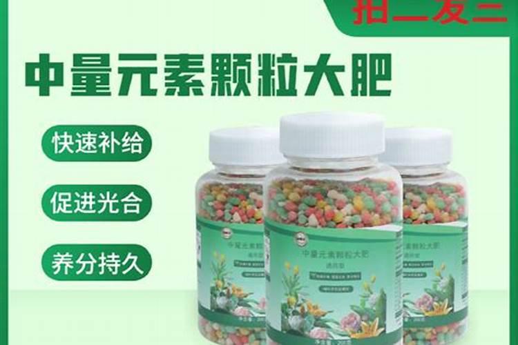 麒麟西瓜露天栽培技术