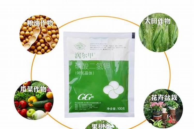 高钾肥可以跟生根肥混用吗