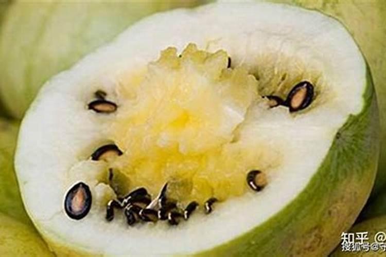 尿素肥料含什么成分？