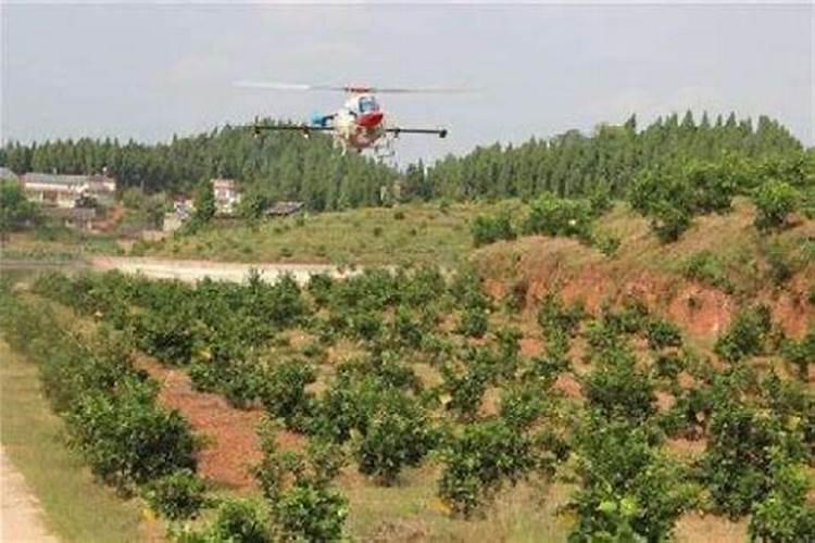 你知道什么时候给花施肥最好吗？施肥时要注意什么？