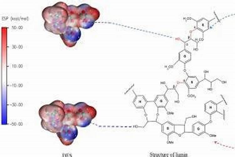 枯树叶怎样发酵成肥料？