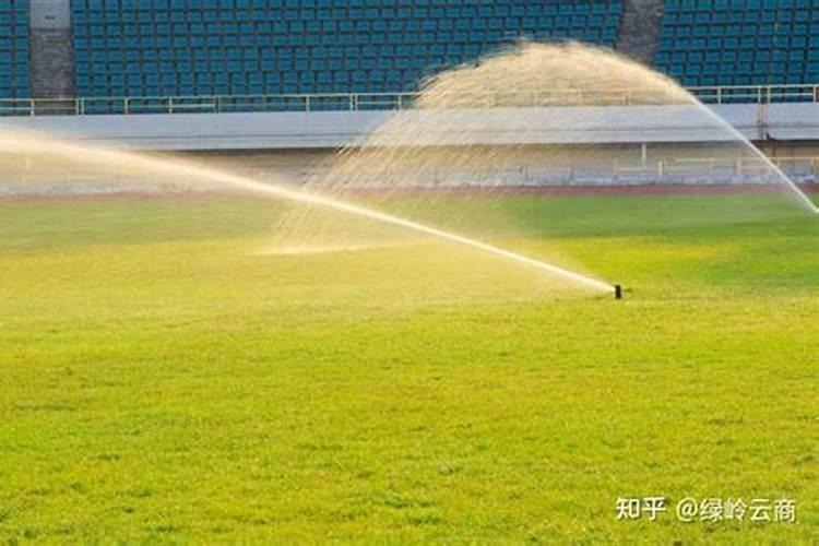 绿化冻水什么时候浇合适