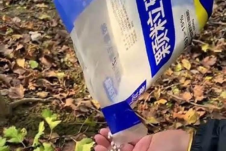 合肥有哪些化肥厂