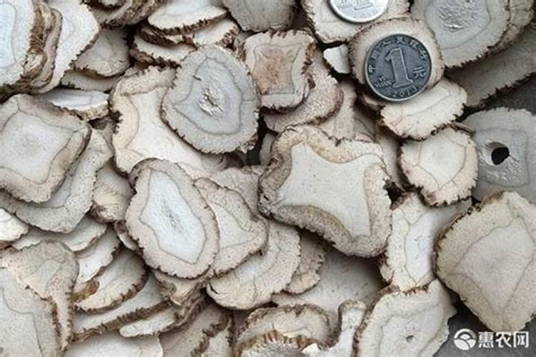 白芷的种植方法及条件