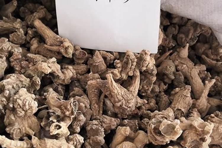 竹节参的种植技术