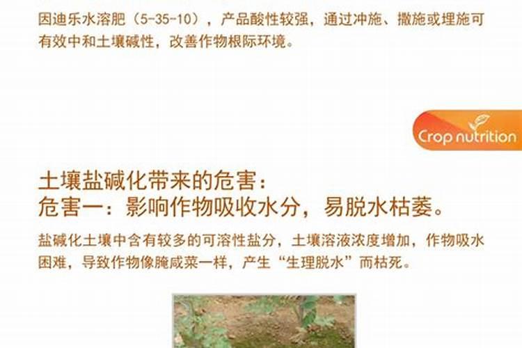 枇杷树每年分几个阶段施肥,每一个阶段该施什么肥？