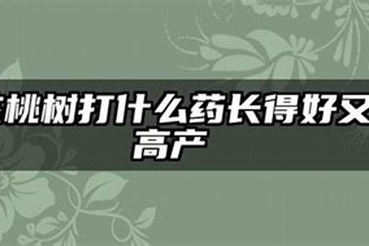 核桃树上什么肥料最好