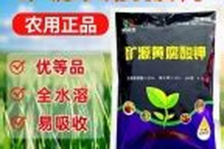 葡萄钾肥给能代水溶肥用一亩地用多少斤合适