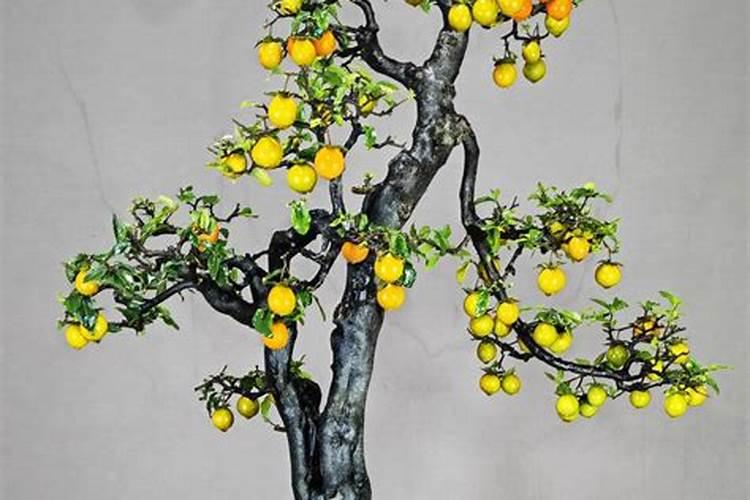 碳酸钾是什么肥料