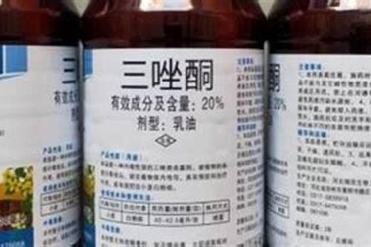 水稻在开花期用保花保果吗？