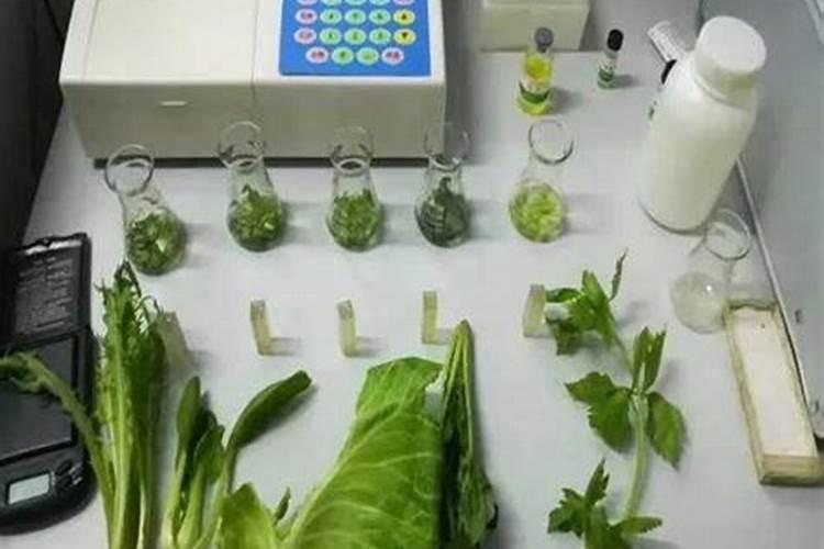 哪个大虾给我一些化学方程式计算(我是初中生,尽量简单一点的!)百度...