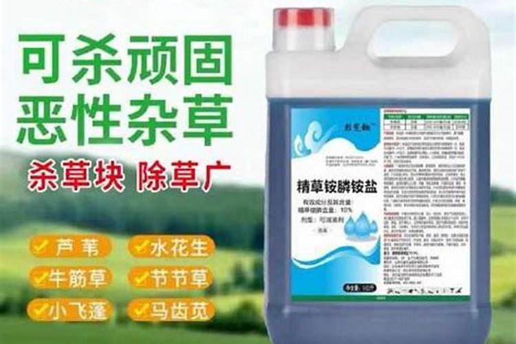 花生种植如何提高产量？花生下针多打什么药,花生控旺打什么药好!