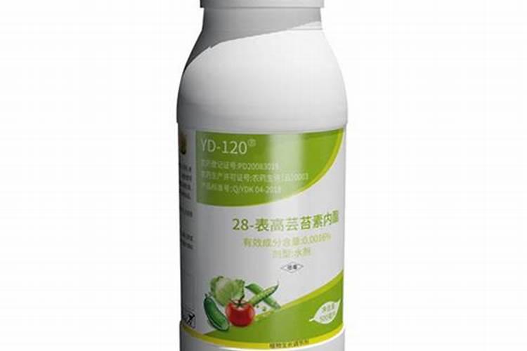 红薯用什么药治地下害虫好