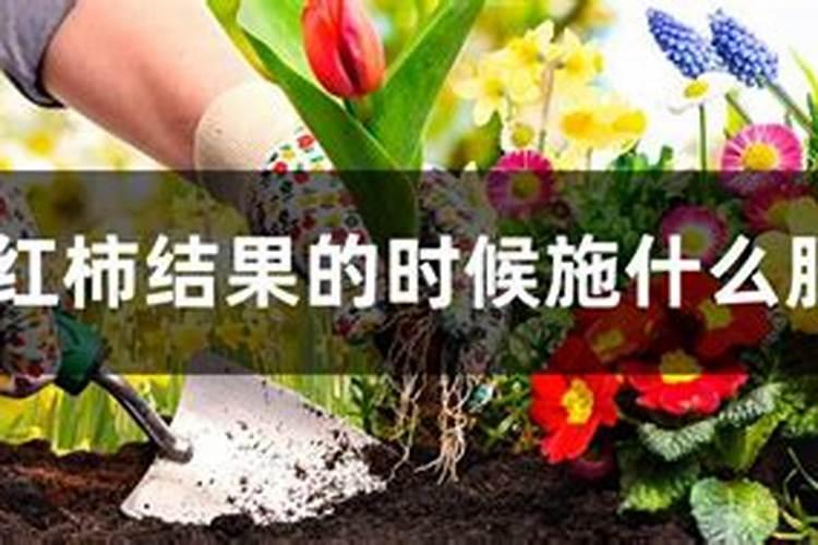 猕猴桃膨果期追施用什么肥料？猕猴桃结果期需要用哪种肥料？