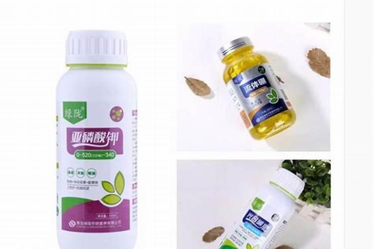 水溶肥是否更加简单便捷有效？