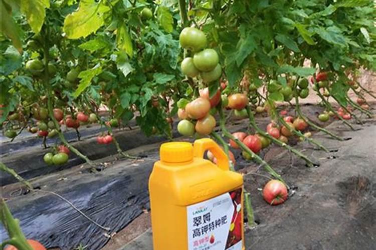 湖南磷肥多少钱一吨