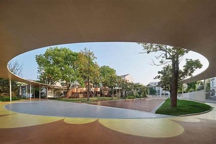 龙眼树施什么水溶肥比较好？